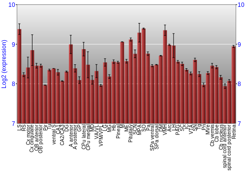 Expression graph
