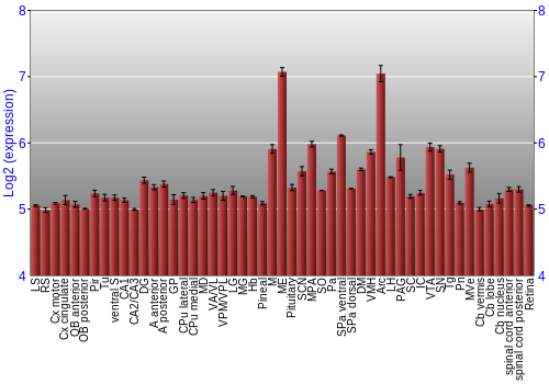 Expression graph