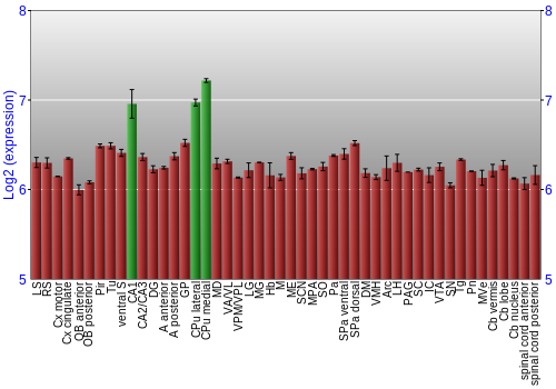 Multi-state expression graph