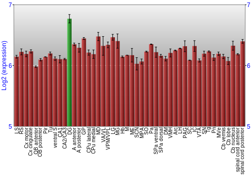 Multi-state expression graph
