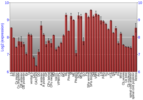Expression graph