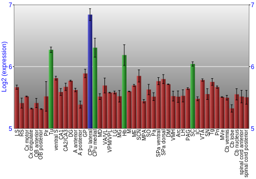 Multi-state expression graph