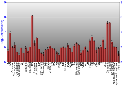 Expression graph