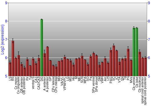 Multi-state expression graph