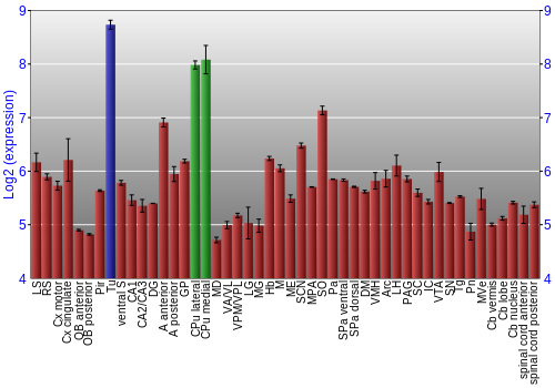 Multi-state expression graph