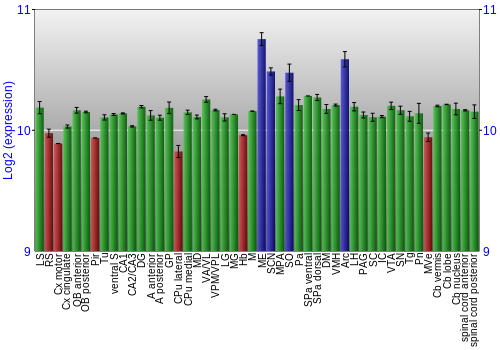 Multi-state expression graph