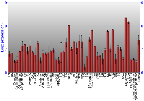 Expression graph