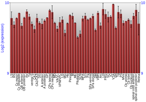 Expression graph