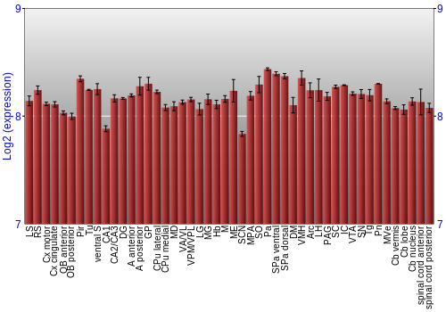 Multi-state expression graph