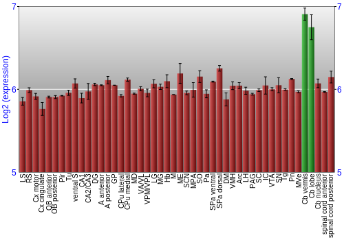 Multi-state expression graph