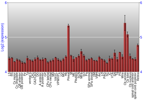 Expression graph