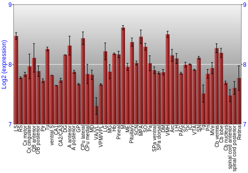 Expression graph