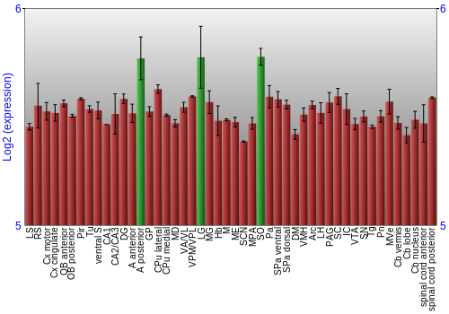 Multi-state expression graph