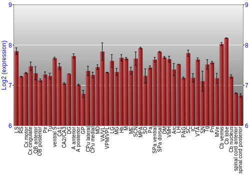 Multi-state expression graph