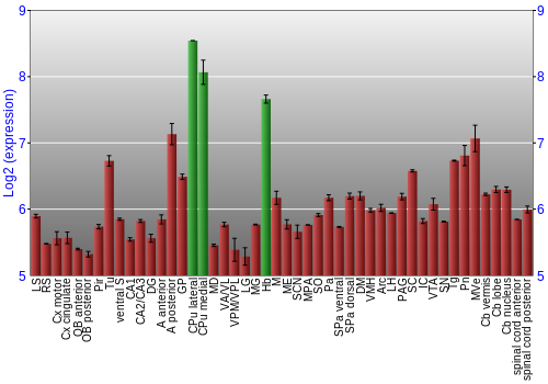 Multi-state expression graph