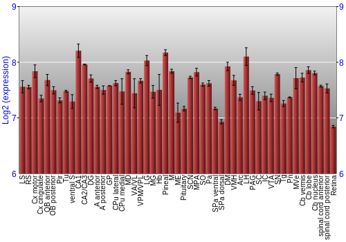 Expression graph