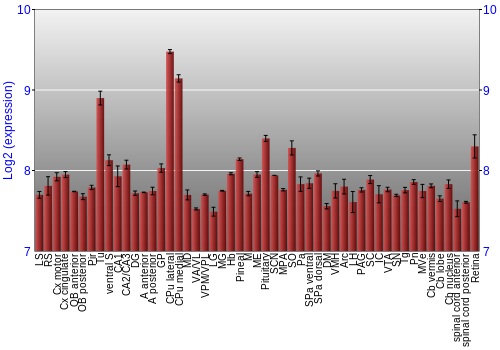 Expression graph
