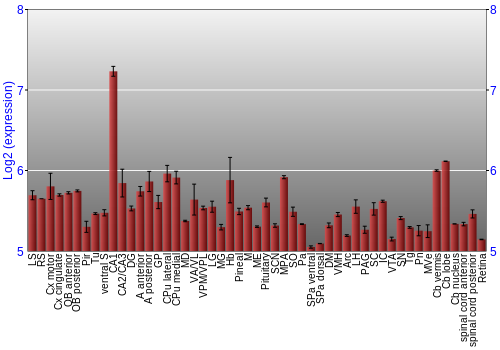 Expression graph