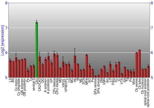 Multi-state expression graph