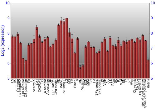Expression graph