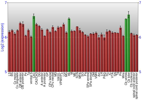 Multi-state expression graph
