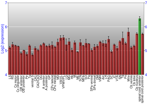 Multi-state expression graph