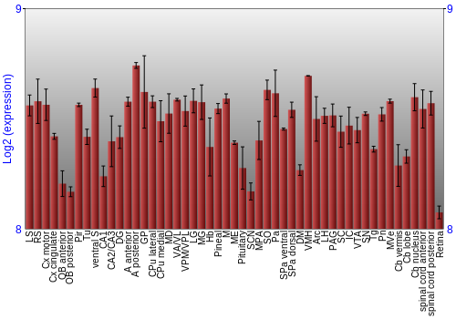Expression graph