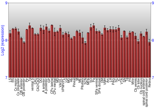 Expression graph