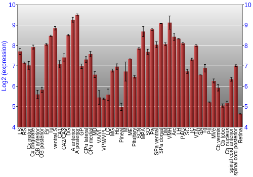Expression graph