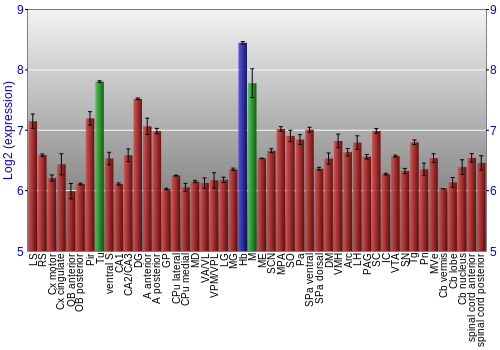Multi-state expression graph