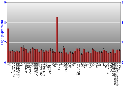 Expression graph