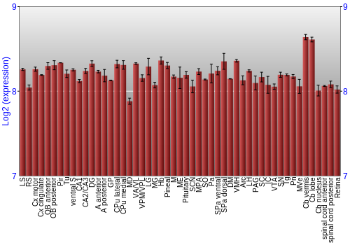 Expression graph