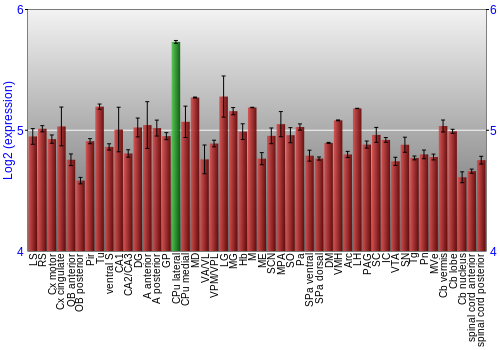 Multi-state expression graph