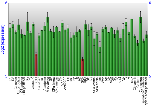 Multi-state expression graph