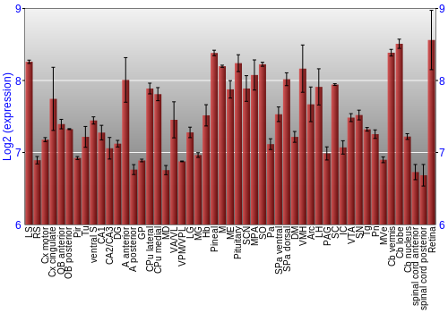 Expression graph