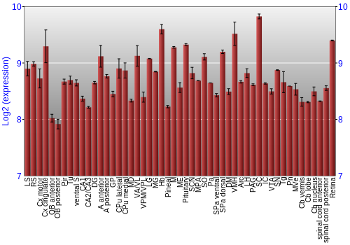 Expression graph