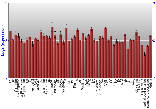 Expression graph