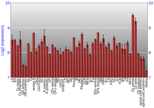 Expression graph