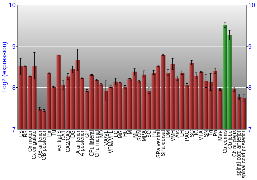 Multi-state expression graph