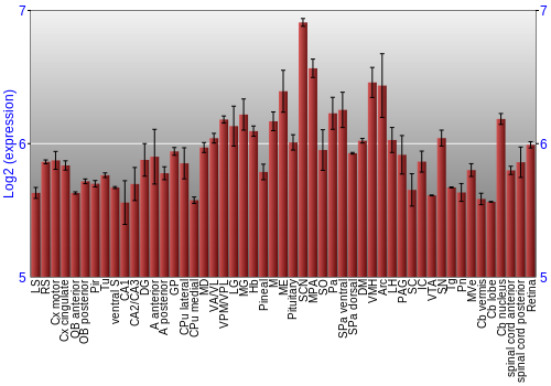 Expression graph
