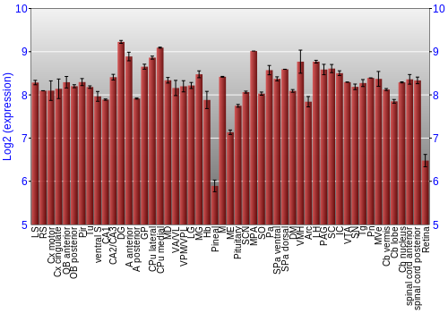 Expression graph