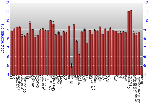 Expression graph