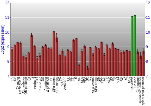 Multi-state expression graph