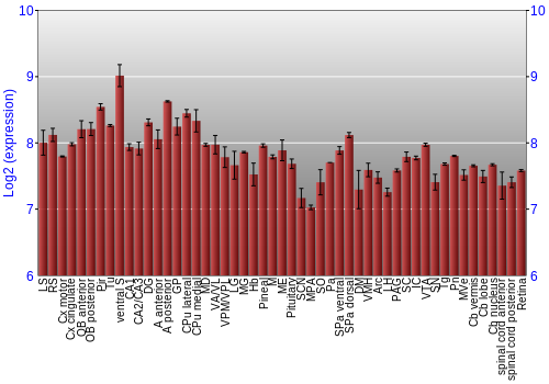 Expression graph