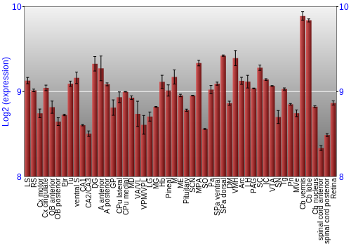 Expression graph
