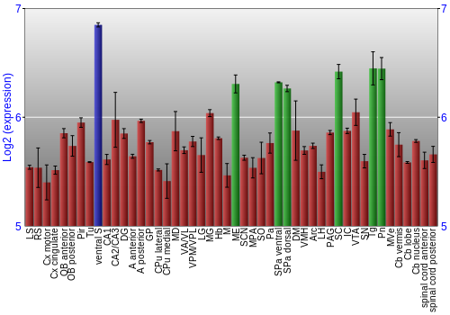 Multi-state expression graph