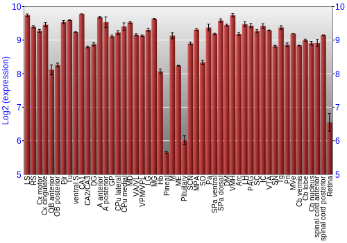 Expression graph