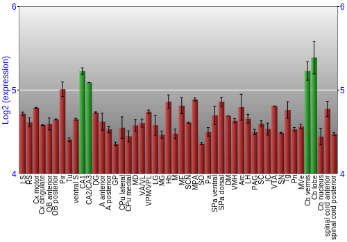 Multi-state expression graph