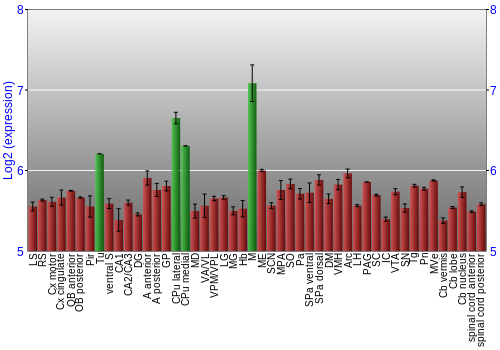 Multi-state expression graph