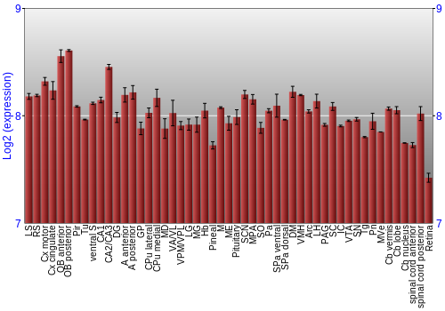 Expression graph